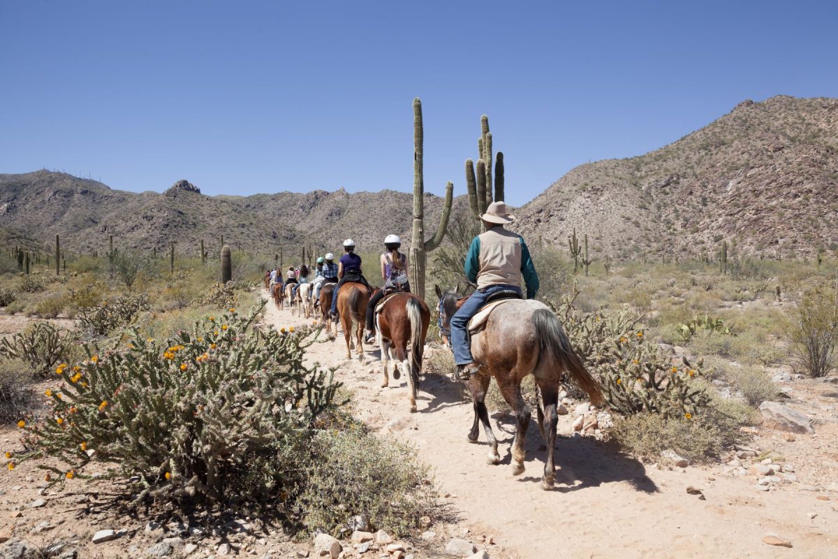 horseback riding