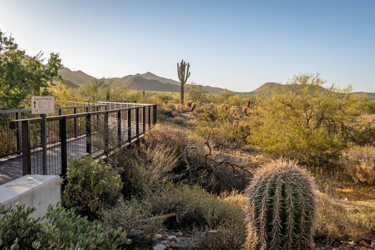 trail at mcdowell sonoran preserve in arizona